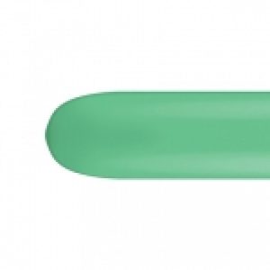 Modelleer ballon wintergreen