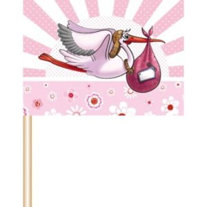 Cocktailprikkers geboorte meisje