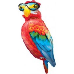 Cool Parrot