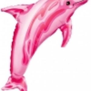 Pink Dolphin