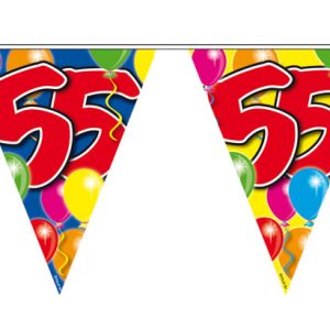 Vlaggenlijn 55 jaar