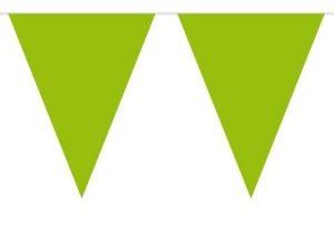 Groene  vlaggenlijn 10 meter