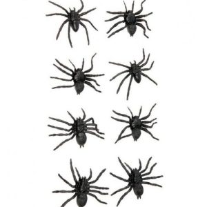 Spiders