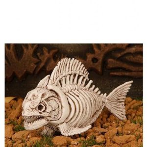 Skelet piranha