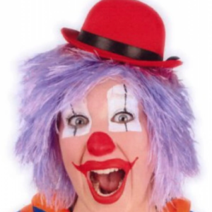 Paarse Clown Pruik